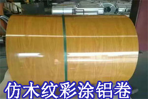 ľ�y��Ϳ�X��